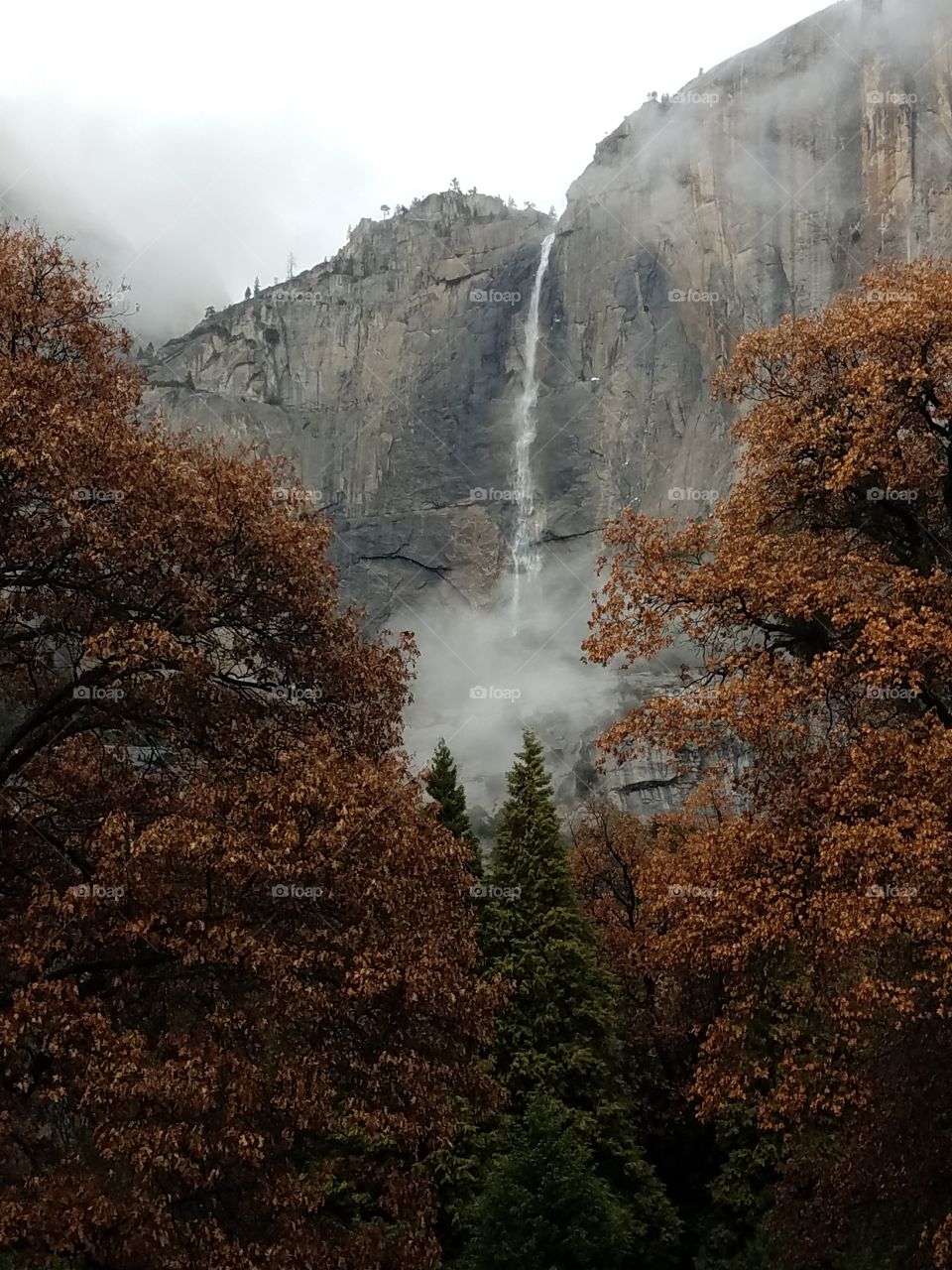 Upper Yosemite Falls in Winter.