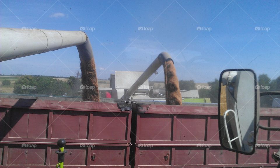 unloading of grain