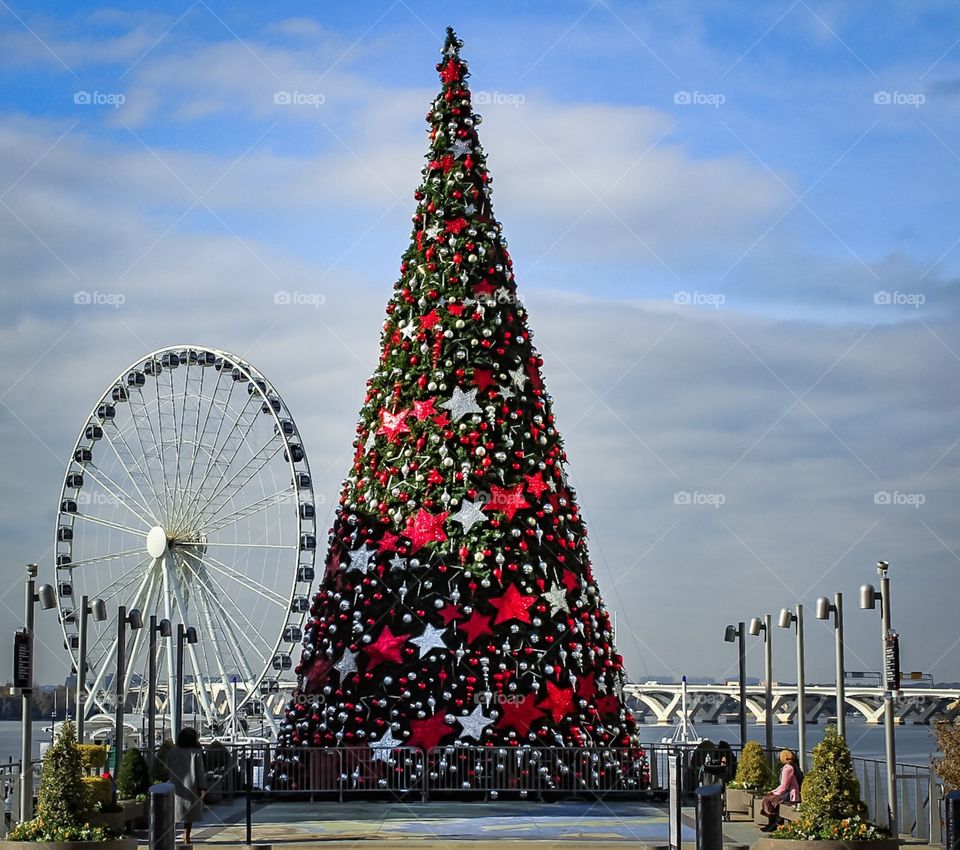 Christmas tree and Ferris wheel 