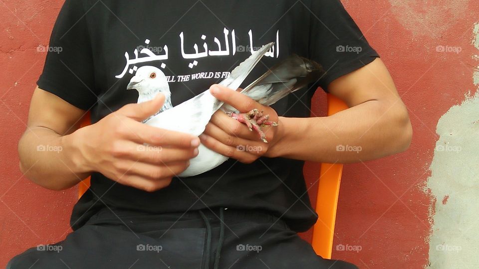 adult man holds a beautiful pigeon. he wears a t shirt with written in Arabic language :the world is good.