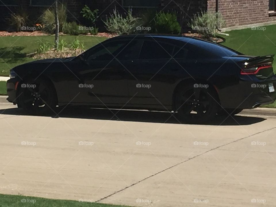 Car, Vehicle, Action, Competition, Blacktop