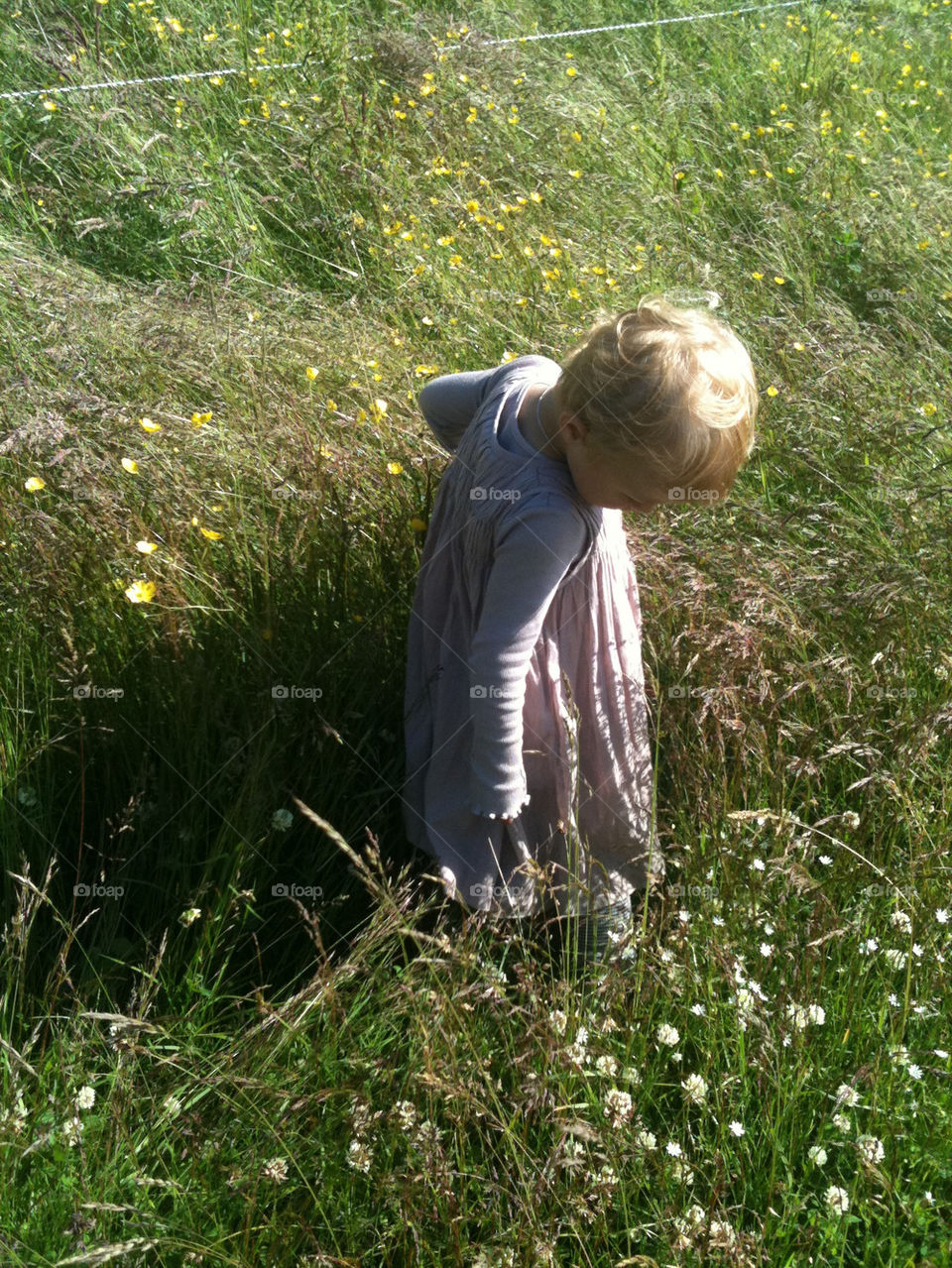 green flowers meadow girl by gitt123