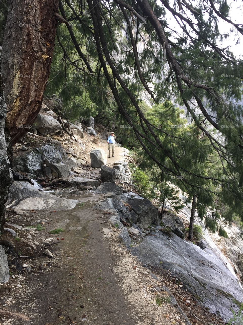 Yosemite falls trail 
