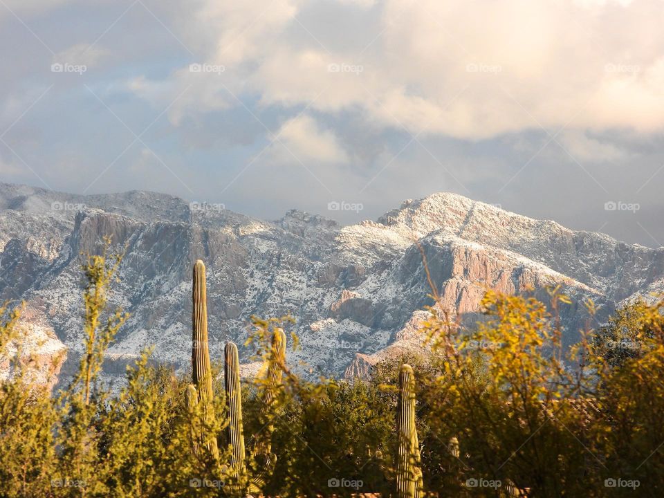 Snow in the desert 