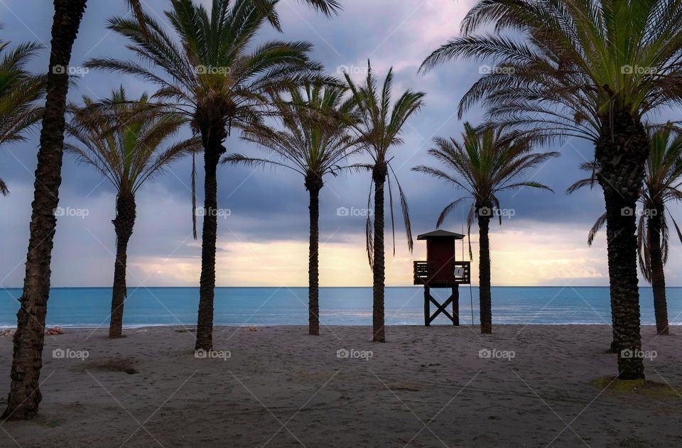 Sandy beach and palm trees at Banalmadena, Malaga, Spain