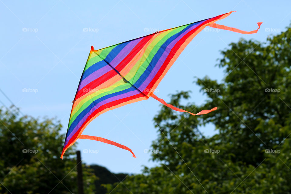 Low angle view of kite flying