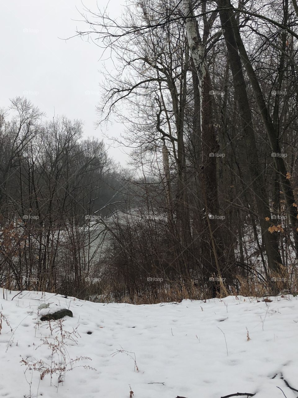 River in the winter