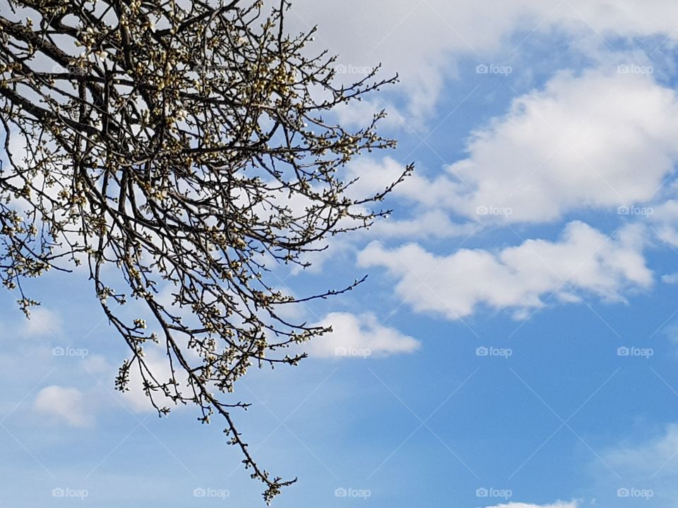 Nature in Europe- Serbia