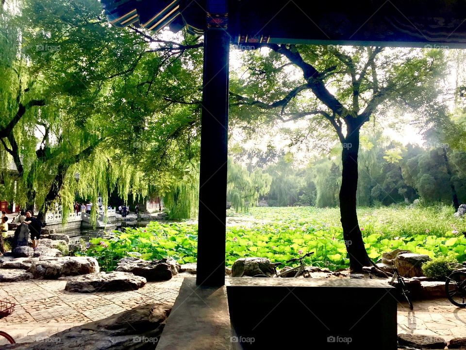 Garden in Beijing, China