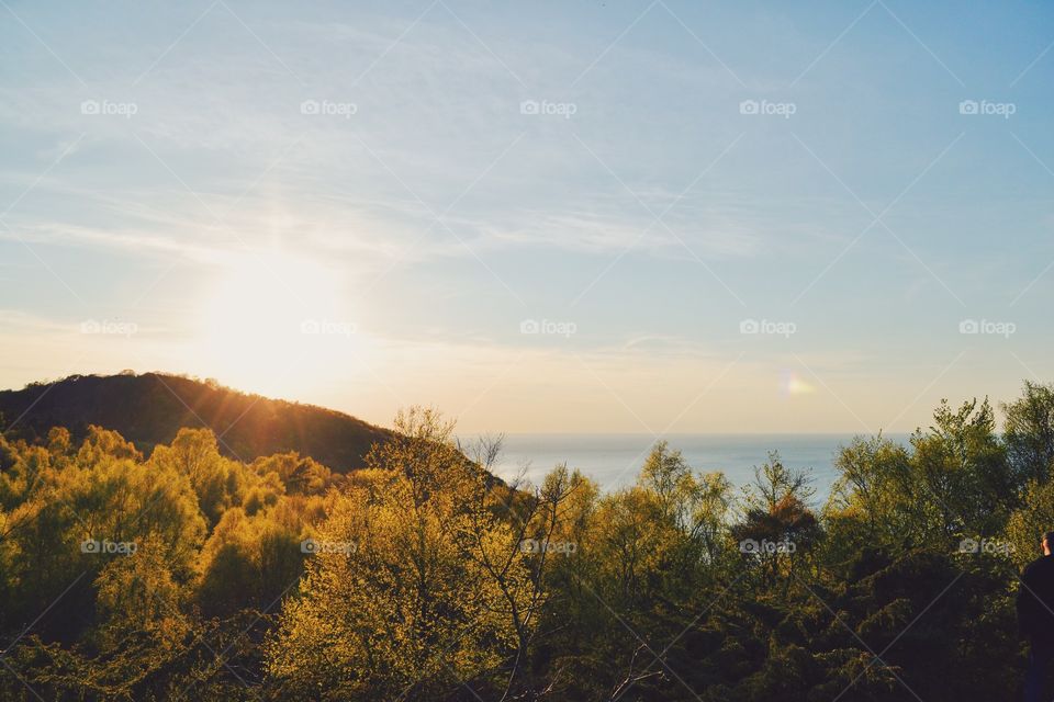 Landscape, Tree, Sunset, Dawn, Sky