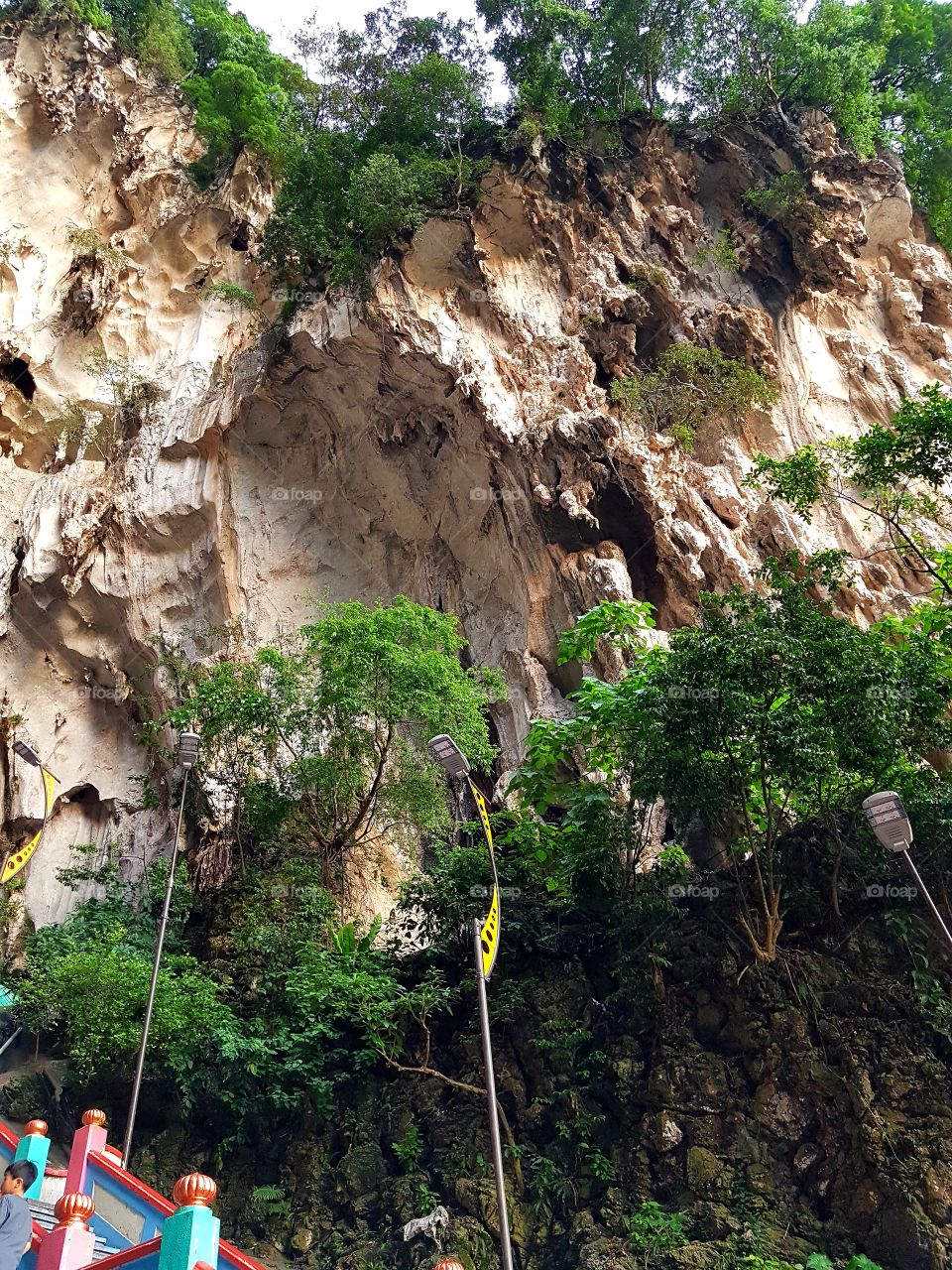 Limestone Cave