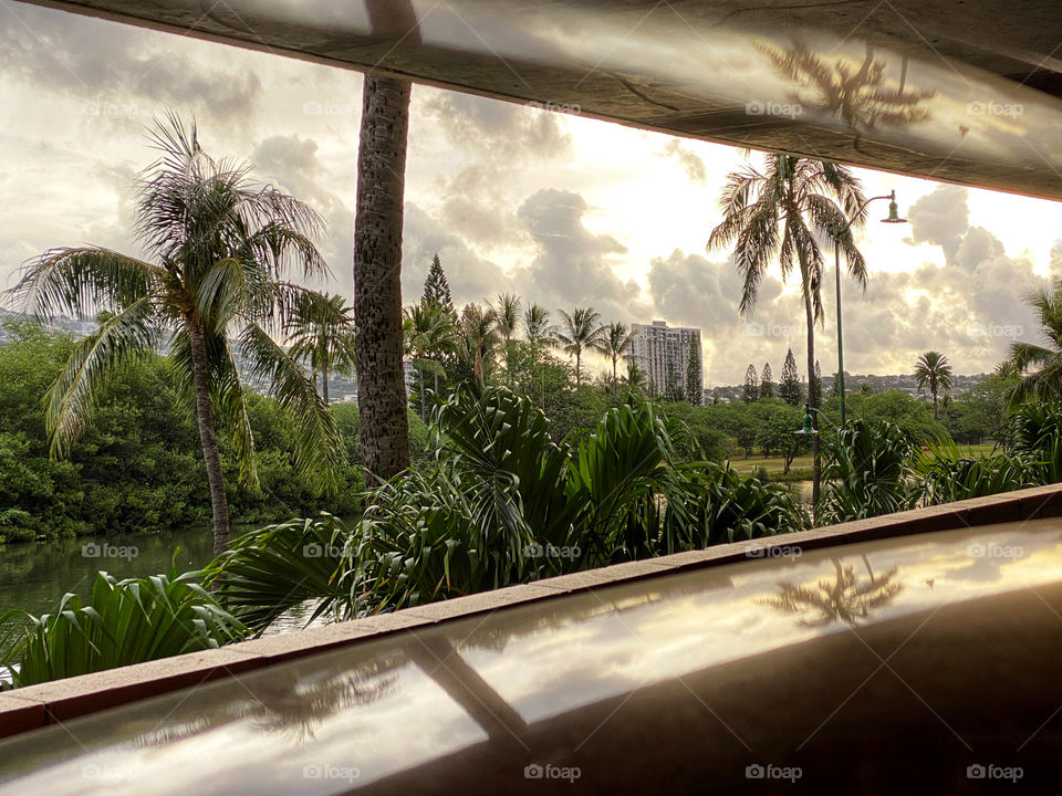 Tropical landscape seen through a tapering window