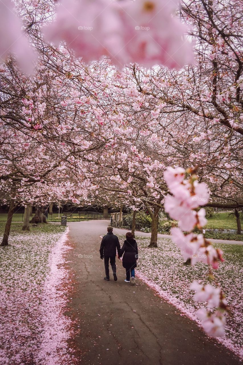 Spring is the best season, nothing can compare to the feeling of nature coming alive this beautifully after a long and heavy winter