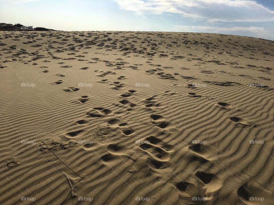 Sand dunes