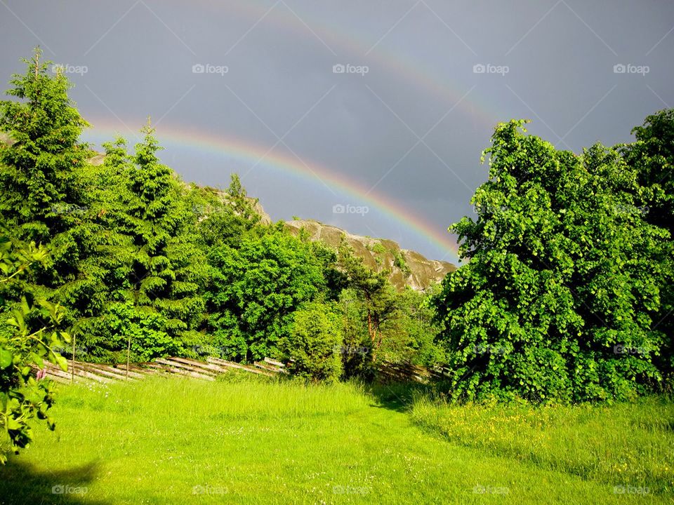 Rainbow in the field.