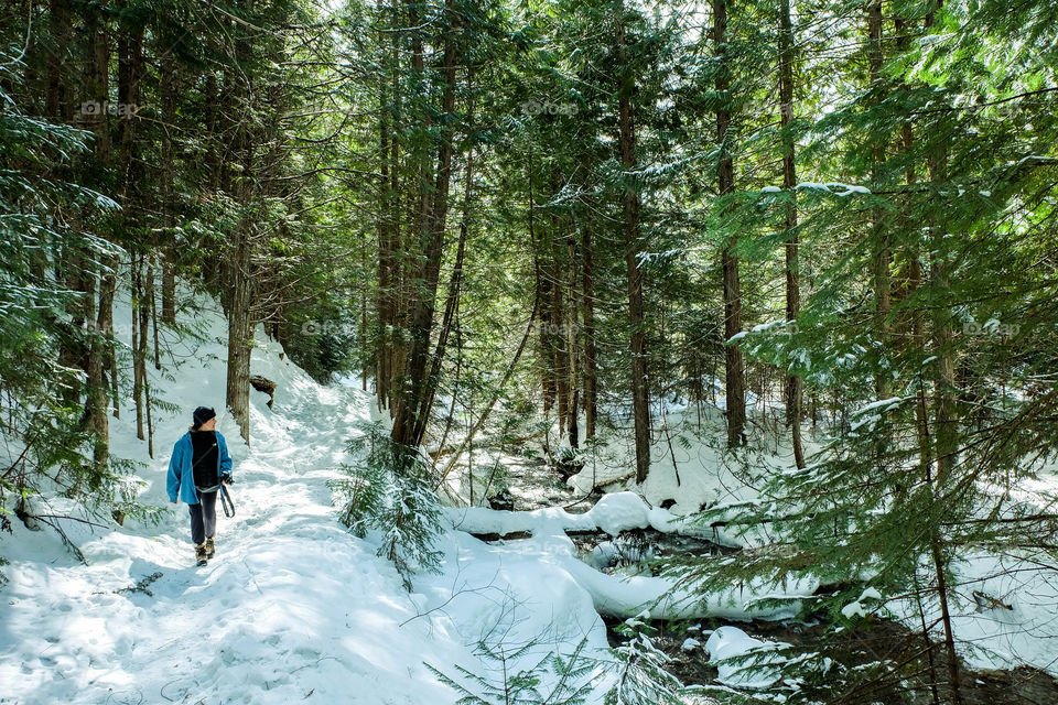 Sproule Creek Trail