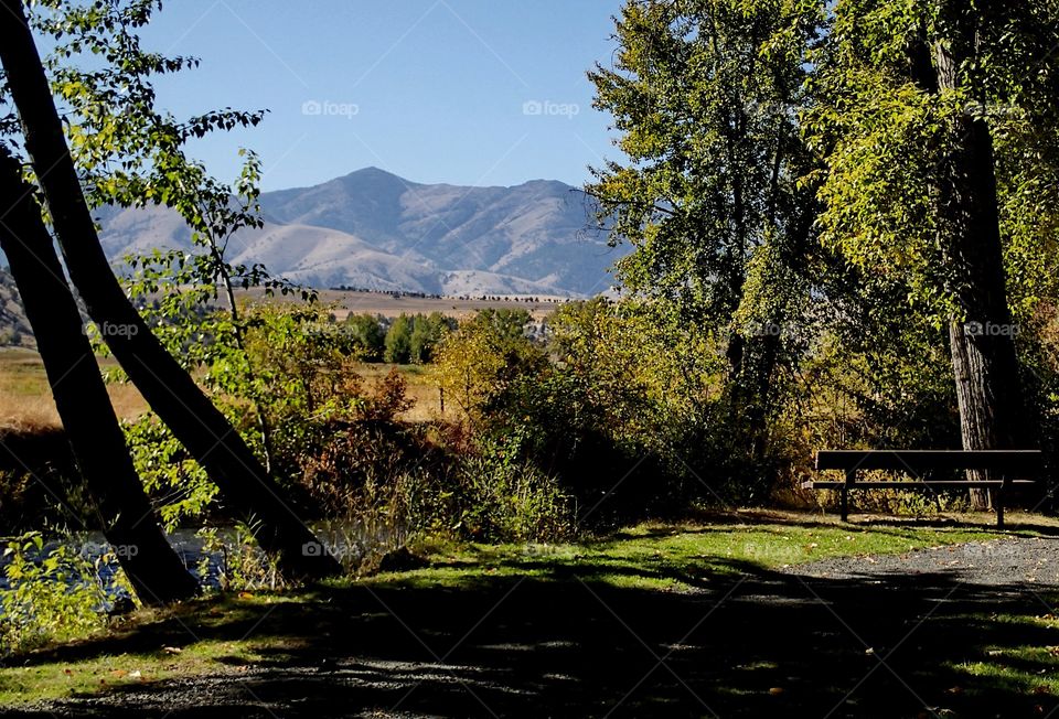 A park with a walking path, bench, and beautiful trees with hills in the background on a sunny fall day in Eastern Oregon