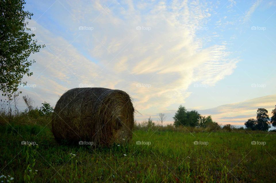 rural landscape