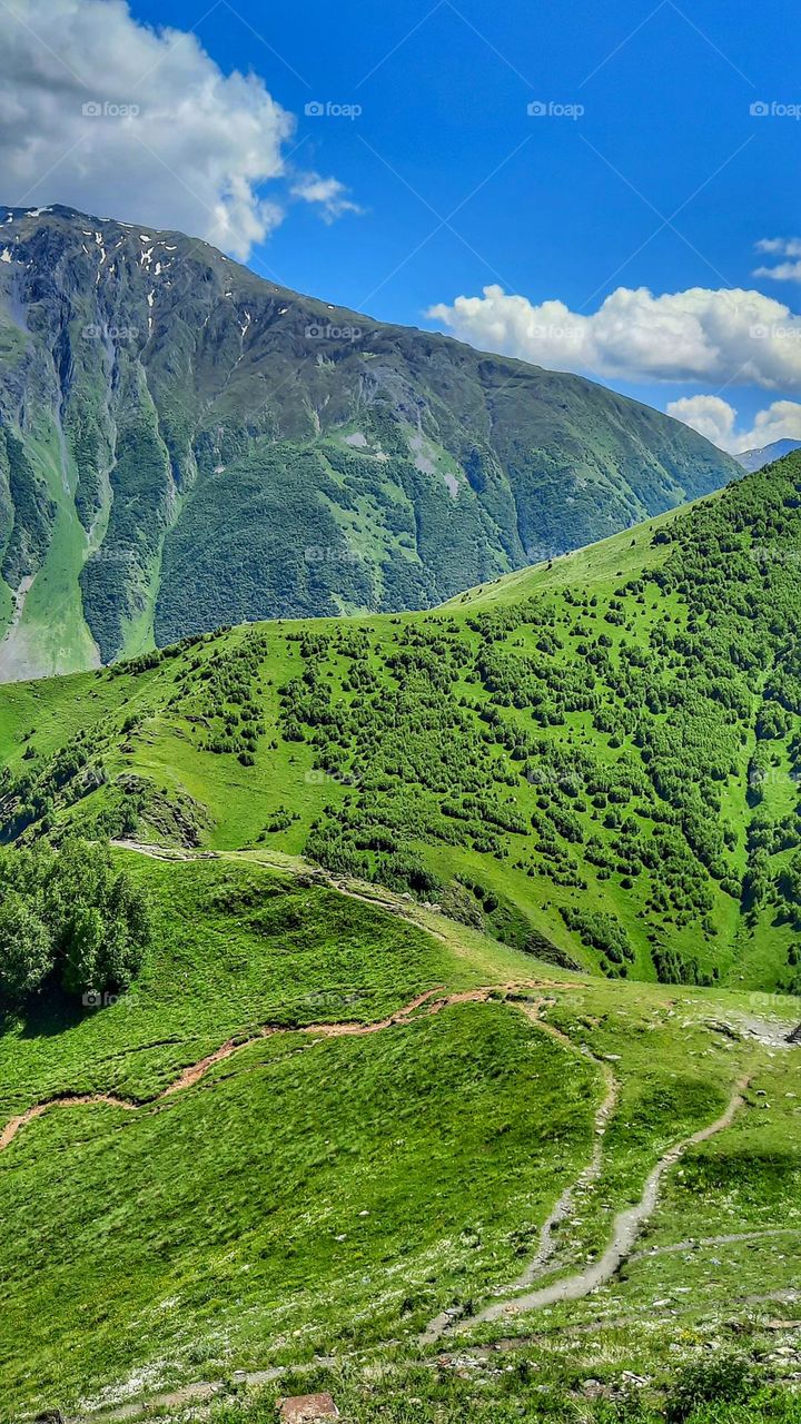 green mountains