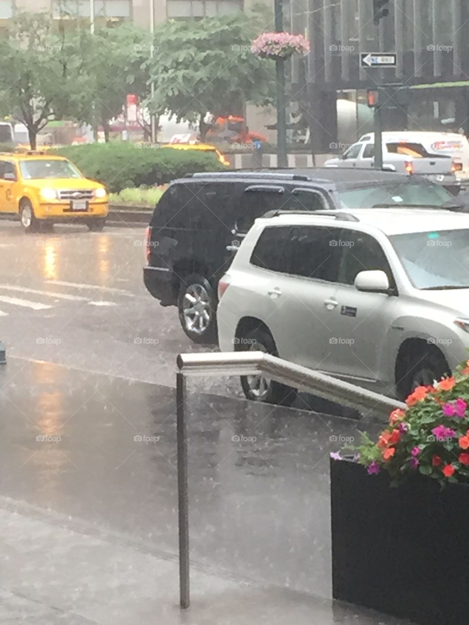 SUMMER SHOWERS . Summer showers in NYC

