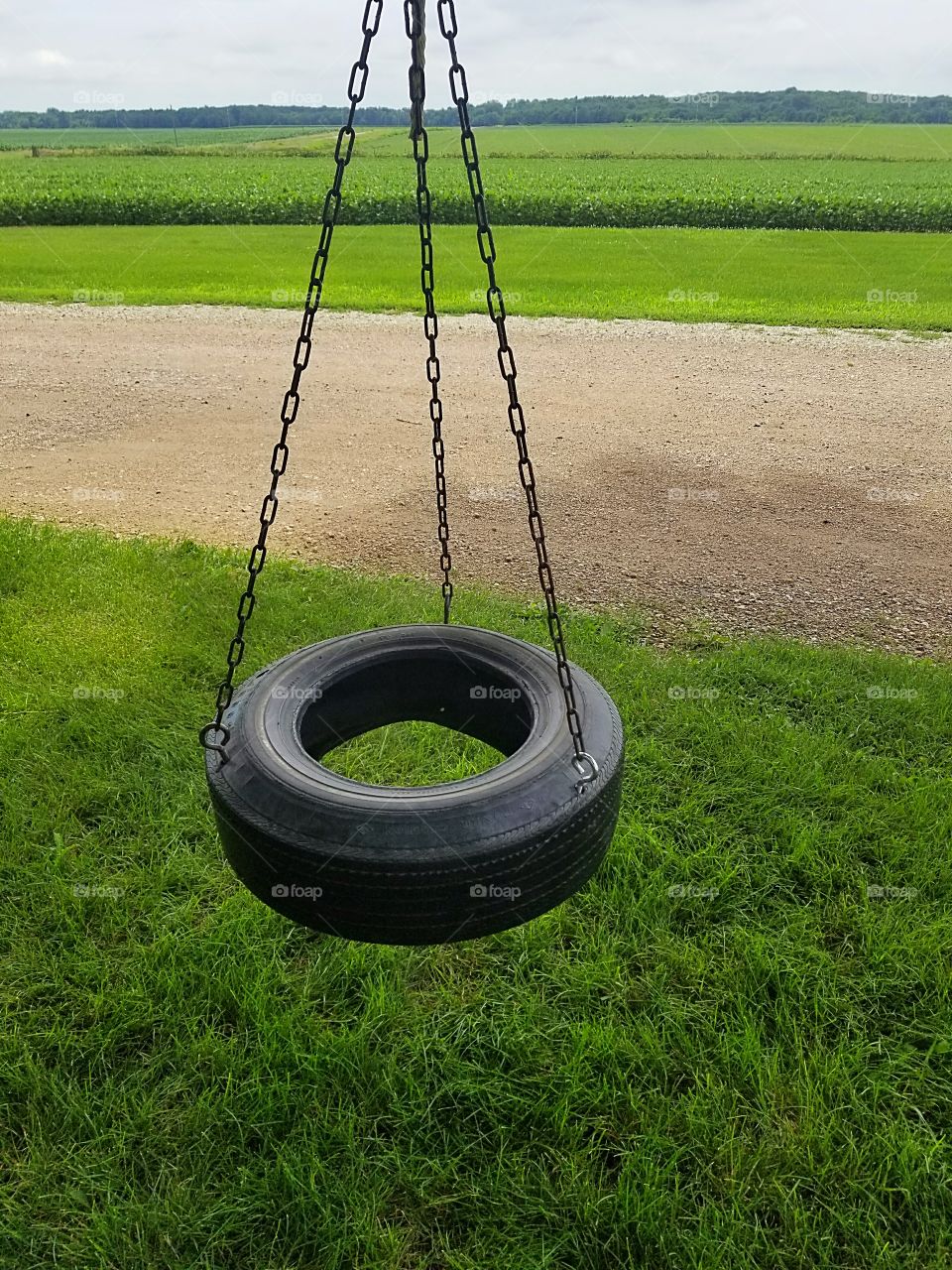 farm swing