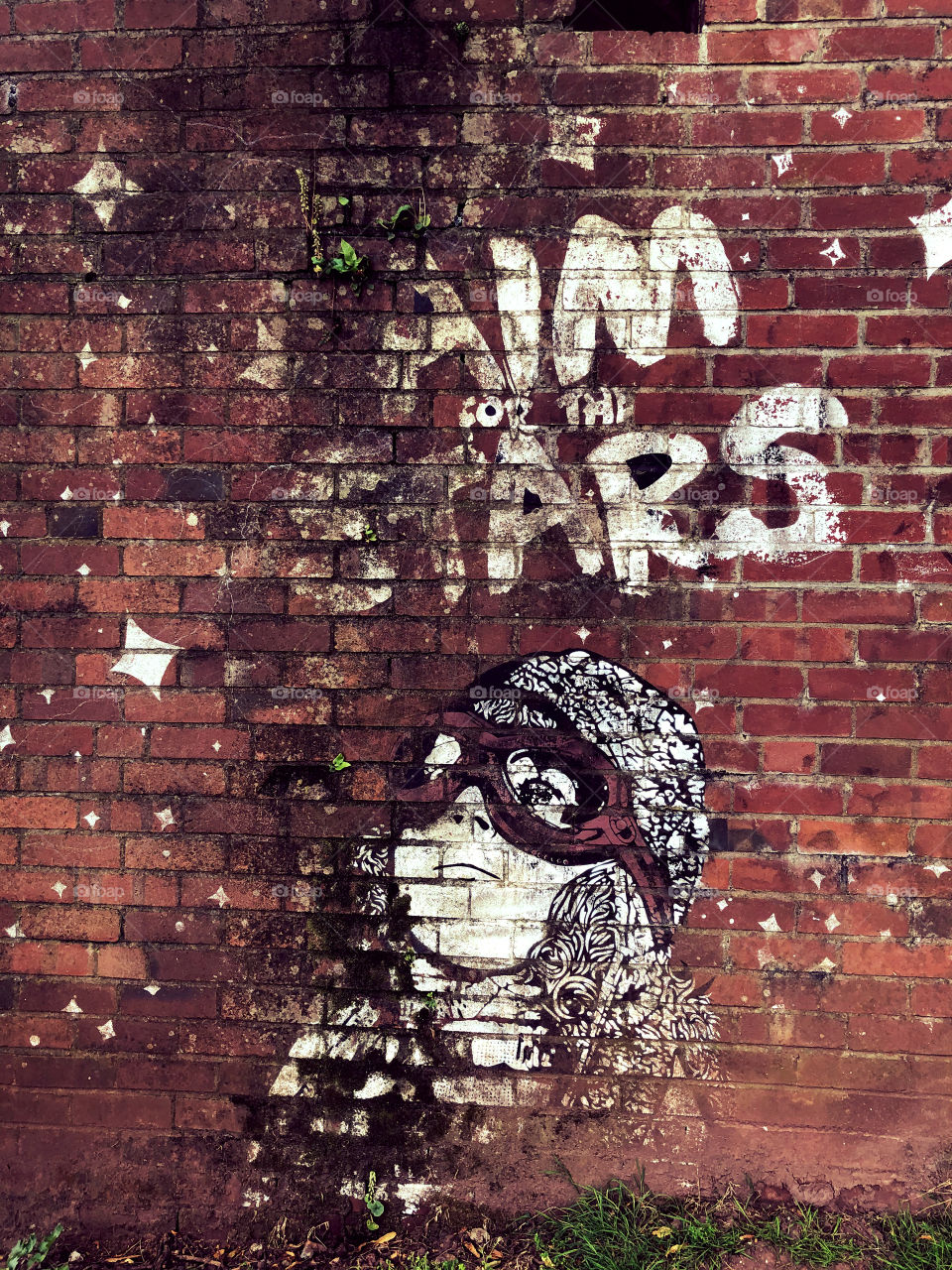 Wall mural, Devon , UK