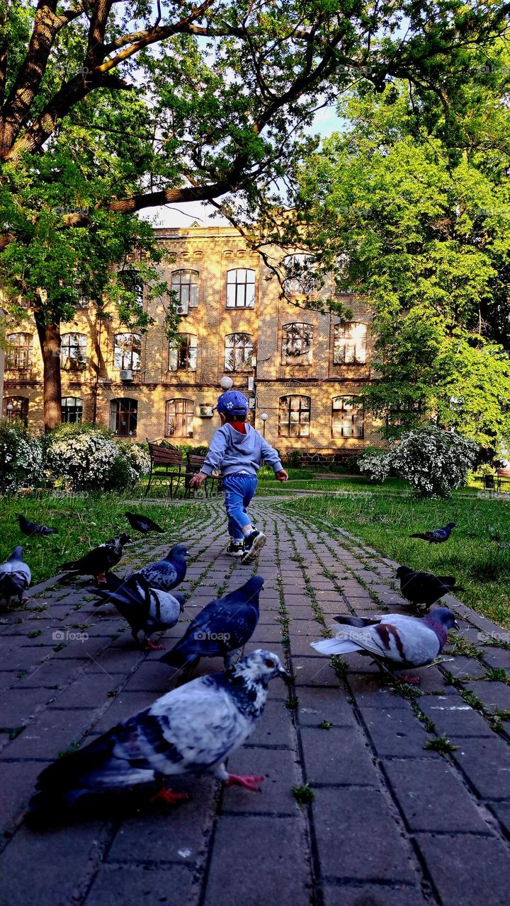 kid walks in the summer in the city