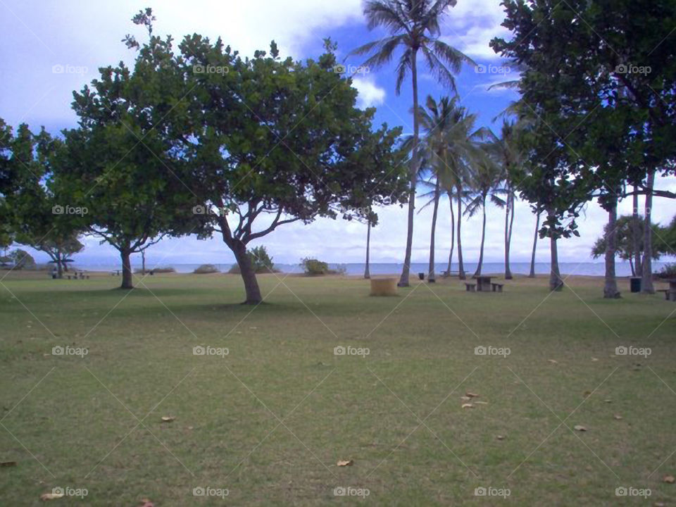 Along Oahu's North Shore. Another park along the north shore of Oahu Hawaii.