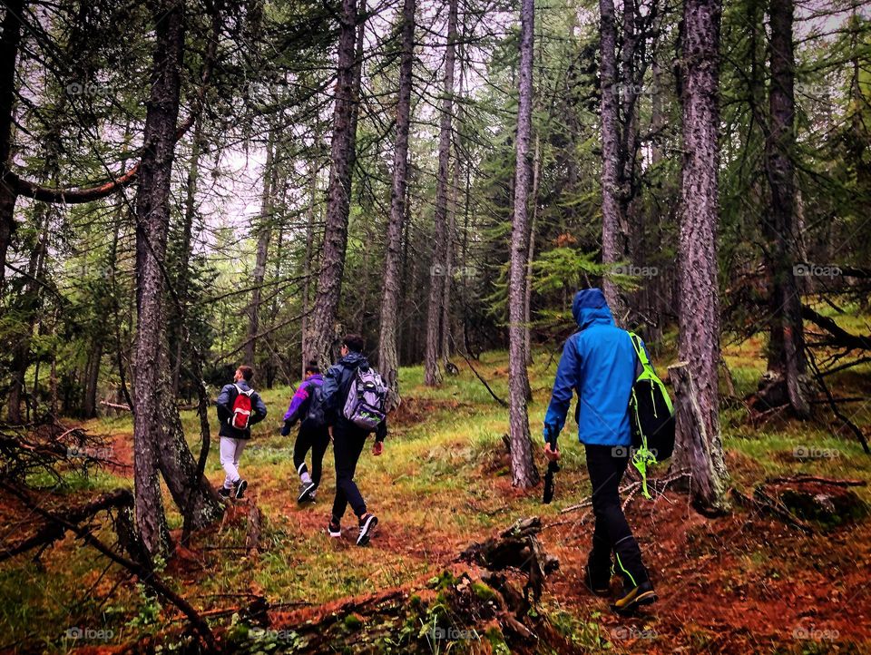 Walking in The Mountain 