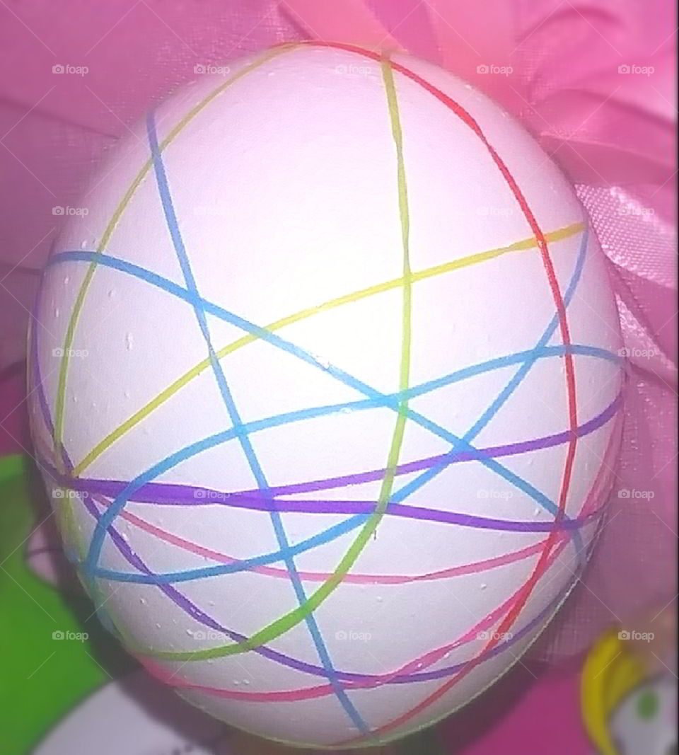 Egg 2019