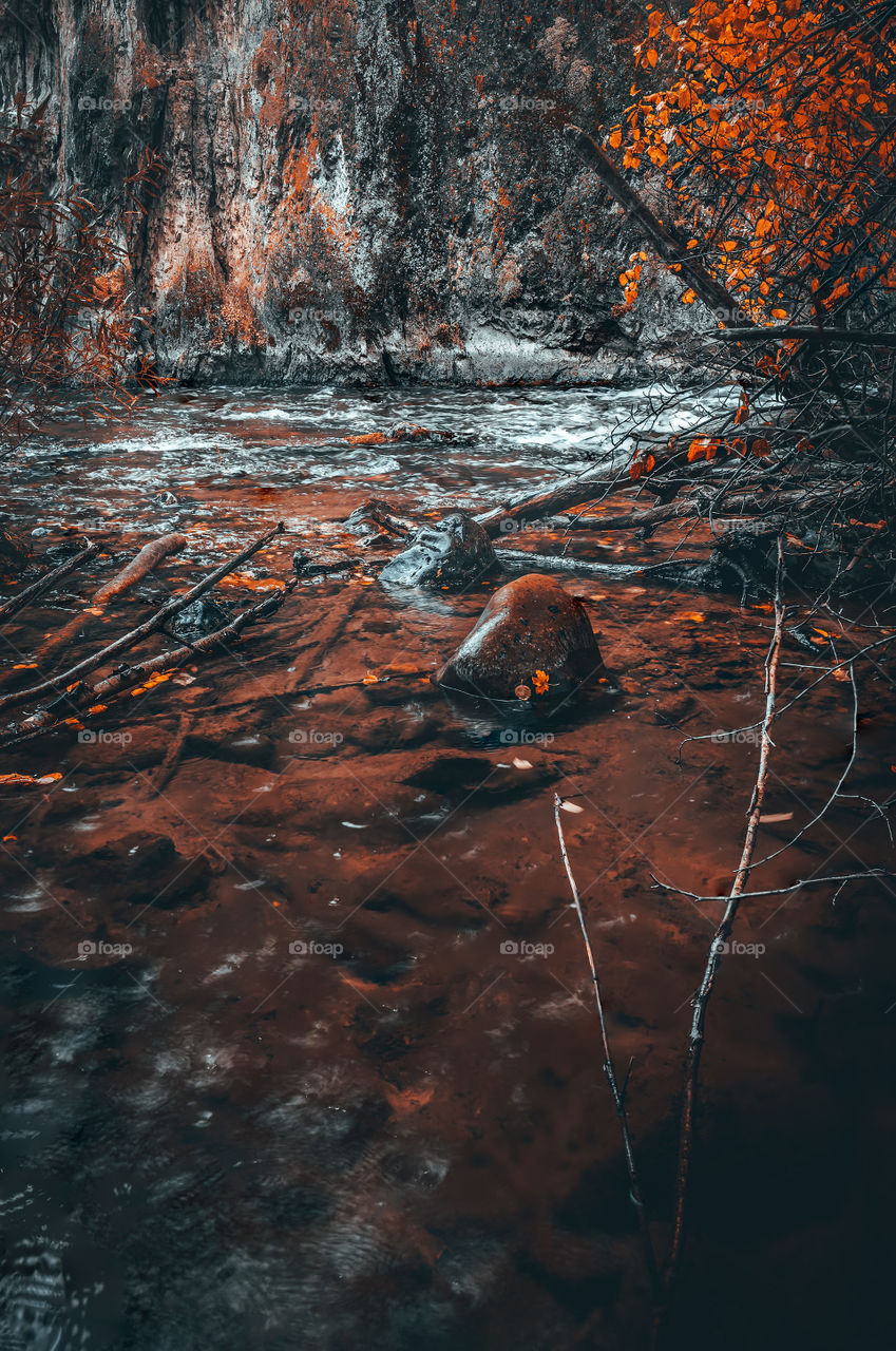 Morast wunderschöne Natur