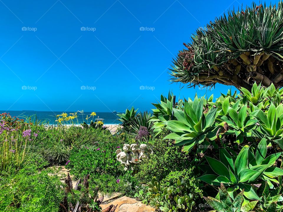 These plants are strange and tropical. This is the Pacific coast in California with a nice, almost hidden, statue of 3 angels. There is lots of green foliage with the beach and ocean in the distance with scattered flowers. 