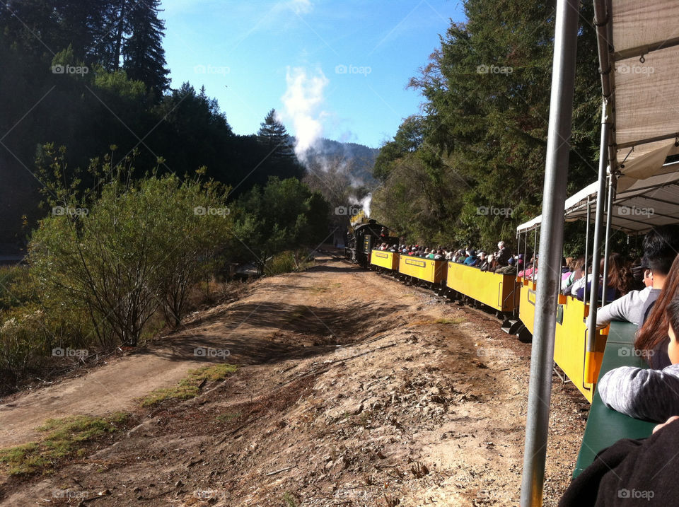 People taking a train ride