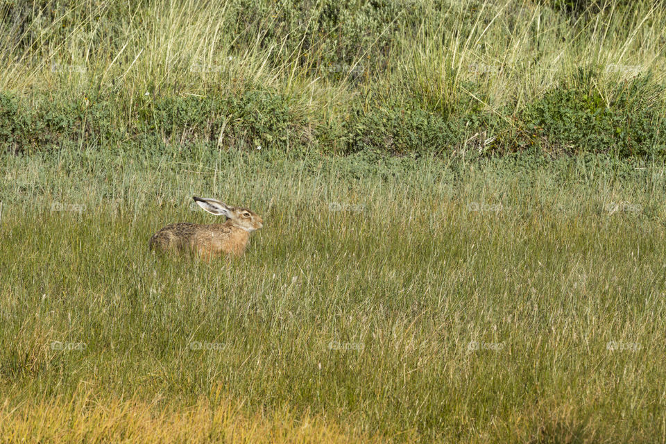 The nature is beautiful.