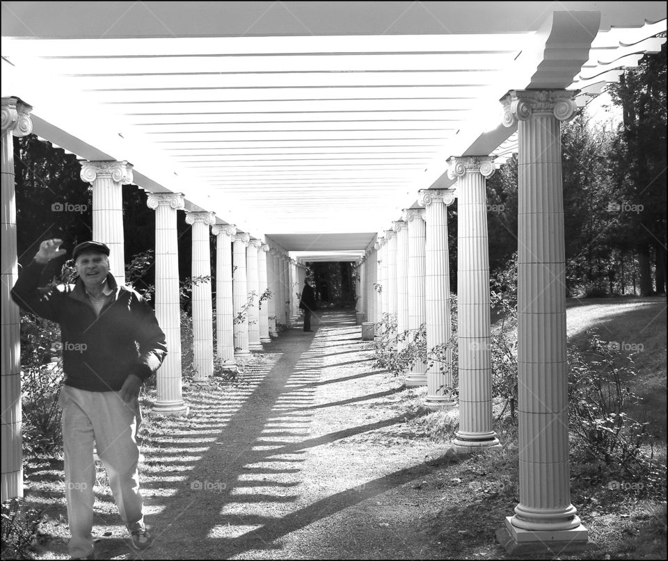 Yaddo Gardens. The scenic black and white pergola from Yaddo gardens in Saratoga. 
Zazzle.com/Fleetphoto