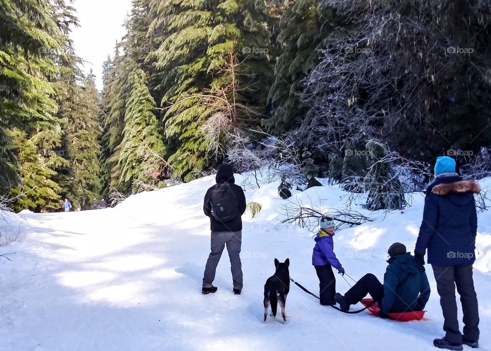 A family enjoys sledding in the snowy mountains