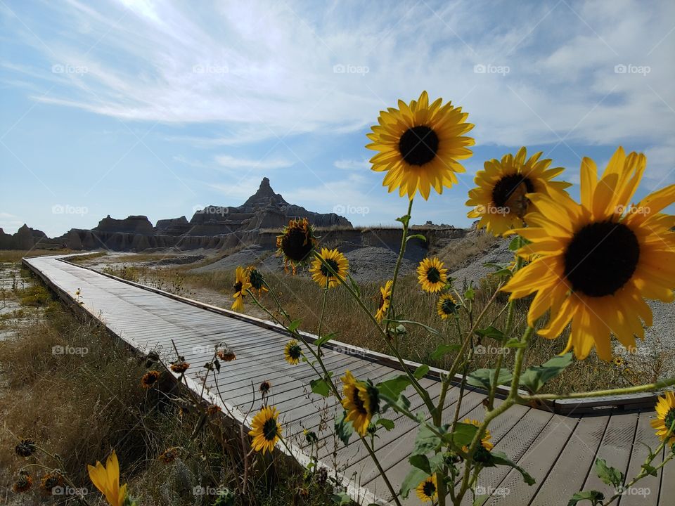 Badlands National Park