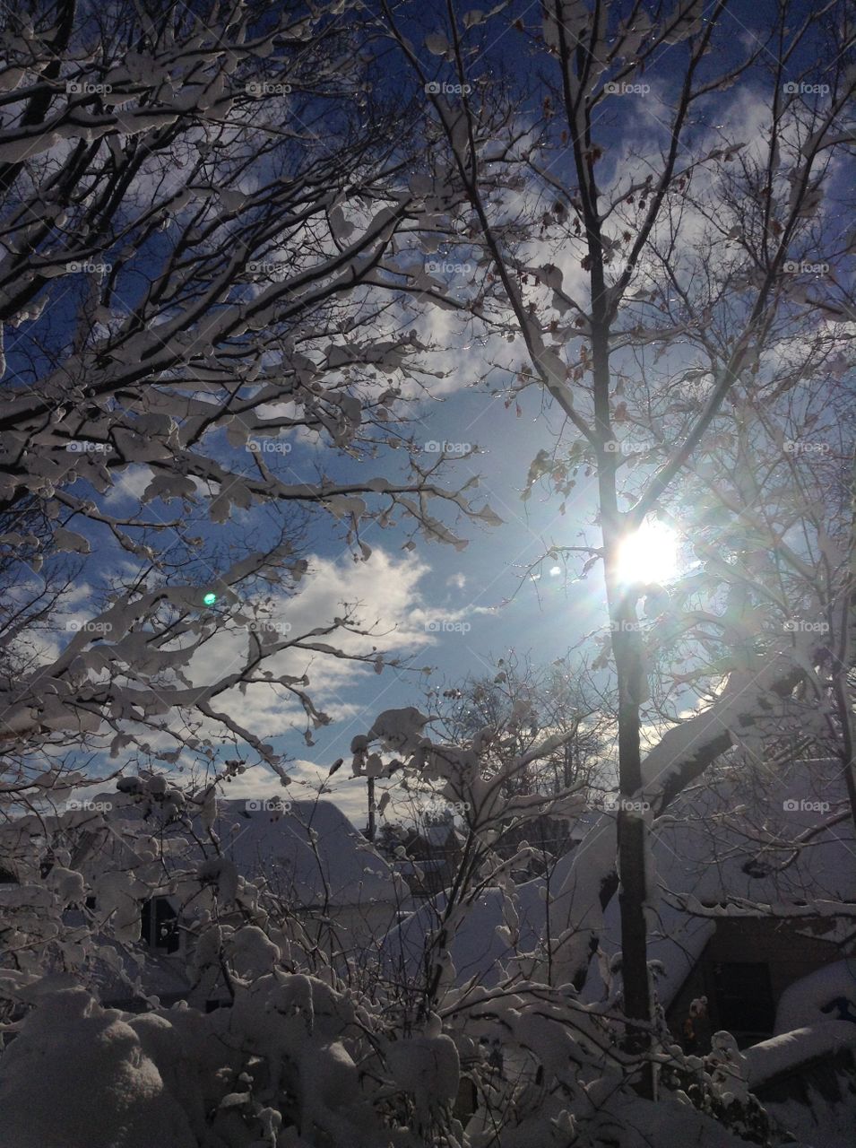 Sunshine after a three day snow storm.