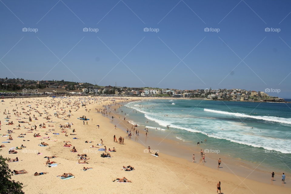 bondi