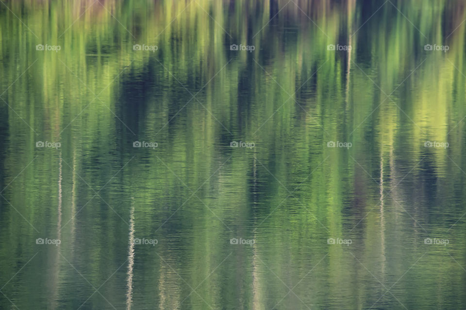 Pictures blurry trees reflects from the surface of the water.