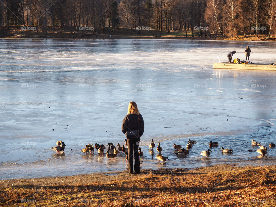 Ducks and young woman. 