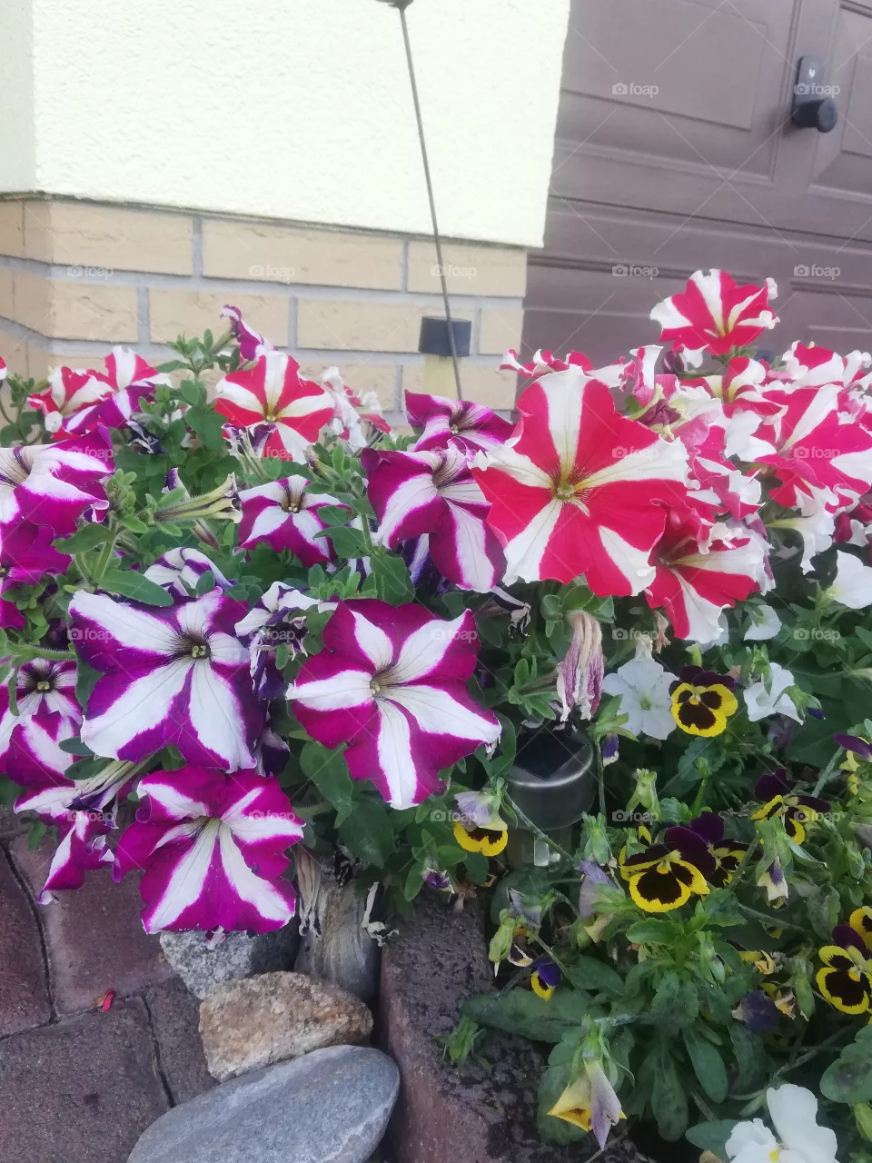 Blumen