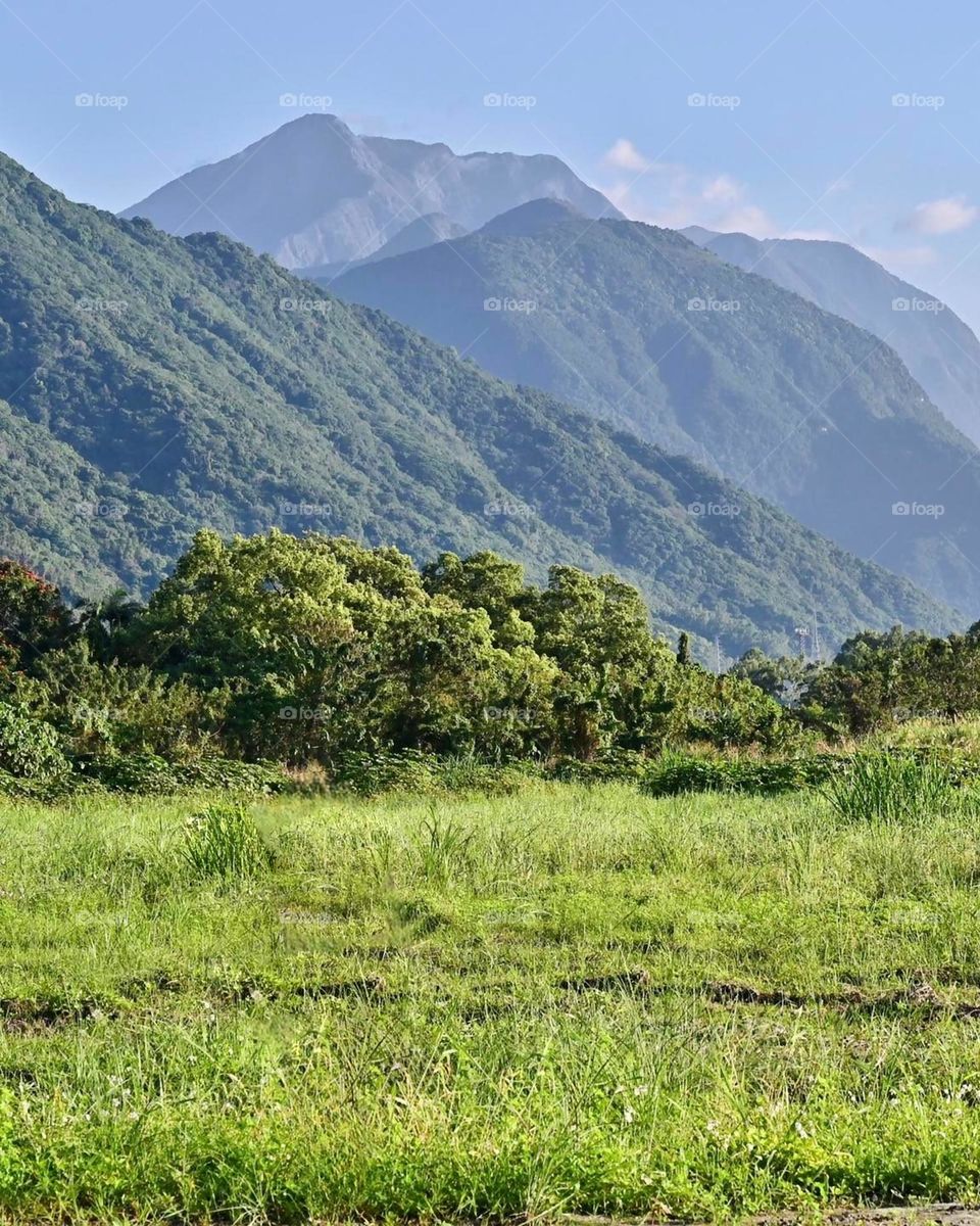 Beautiful mountain and forest scenery