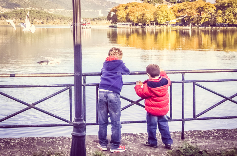 Children At The Lake Feeding The Birds
