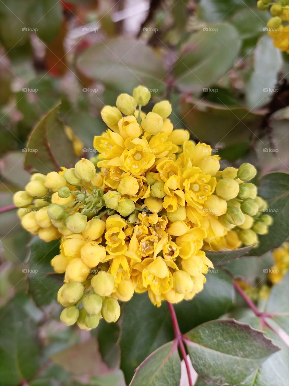 The beauty in nature