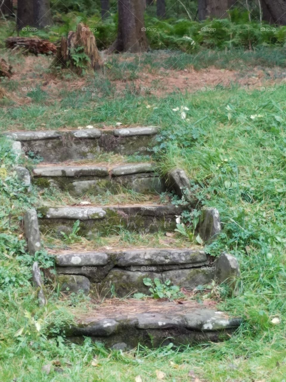 Stairs to nowhere
