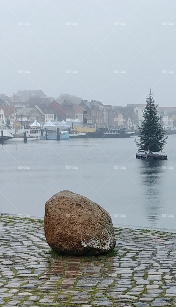 Tannenbaum christmas Wasser water wood schwimmen Flensburg Hafen winter Weihnachten