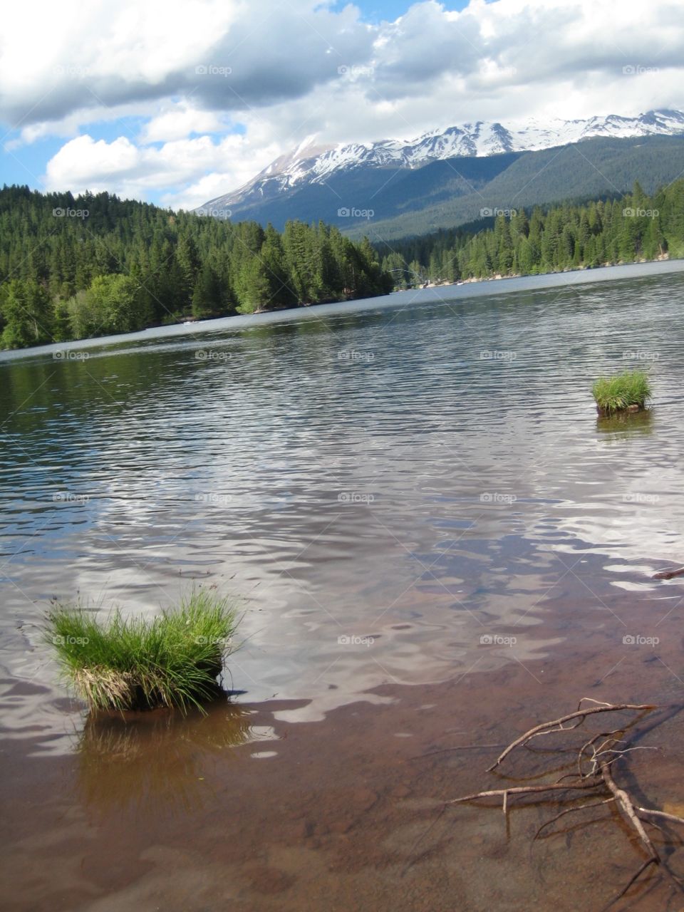 Lake overlooking mountain. Lake forests and snow capped mountain