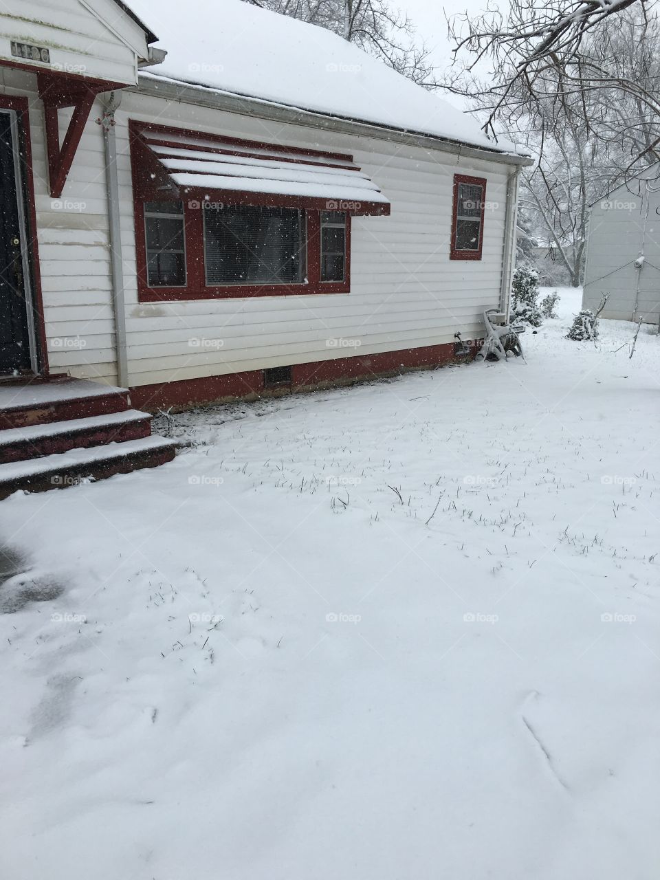 Snowy yard.