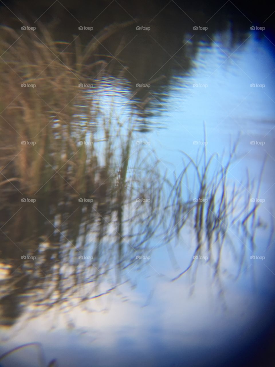 Reflections in the water